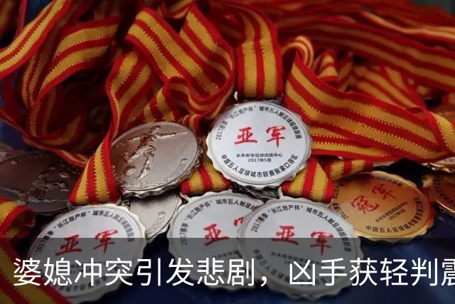 婆媳冲突引发悲剧，凶手获轻判震惊社会